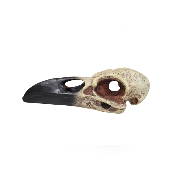 Raven Skull Hideout Bird Gothic Figurine 6 inch Sturdy Solid Decor Pet - Picture 3 of 7